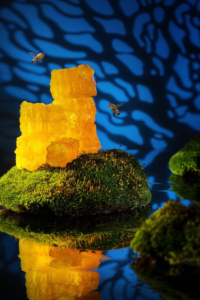 Фотография автора ЯR Ольга