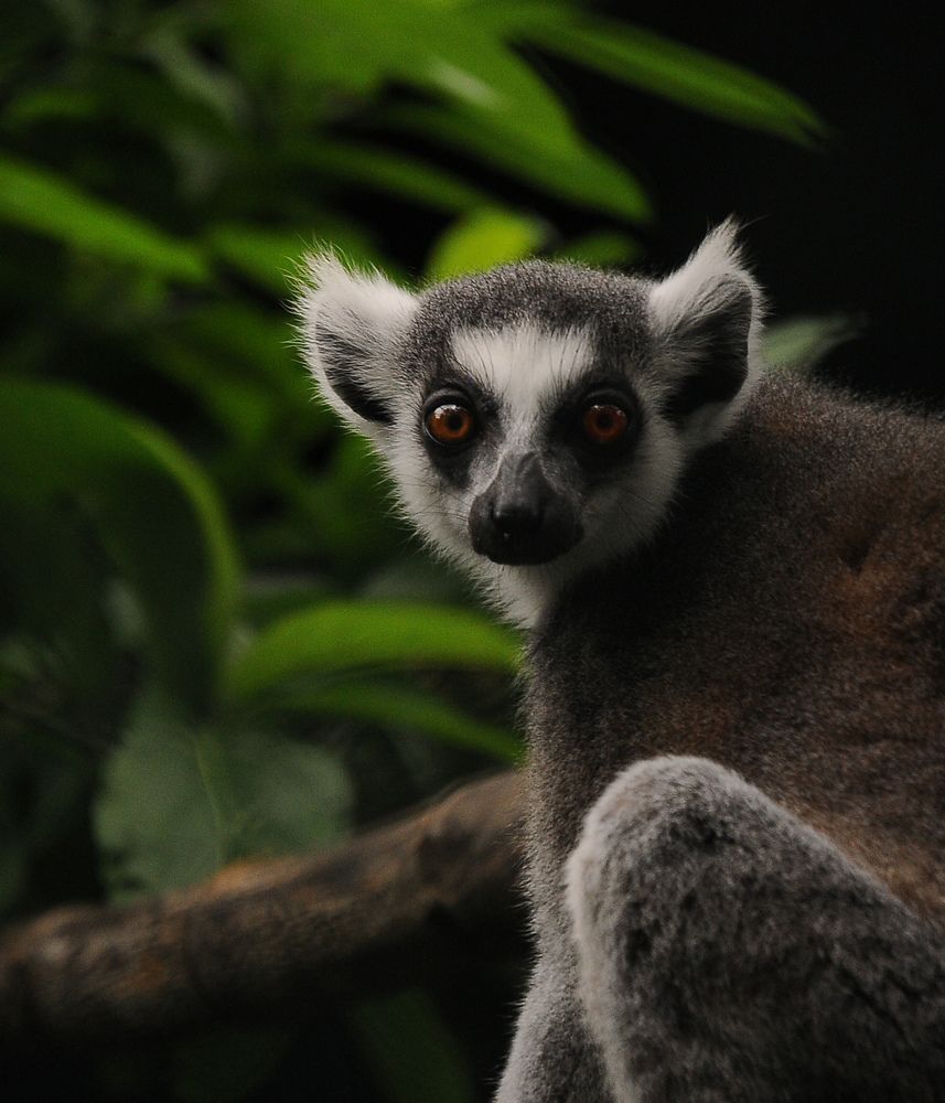 Photograph by NGỌC HẢI NGUYỄN