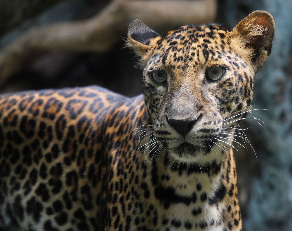 Photograph by NGỌC HẢI NGUYỄN