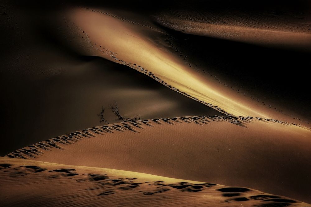 Photograph by mohammad fotouhi