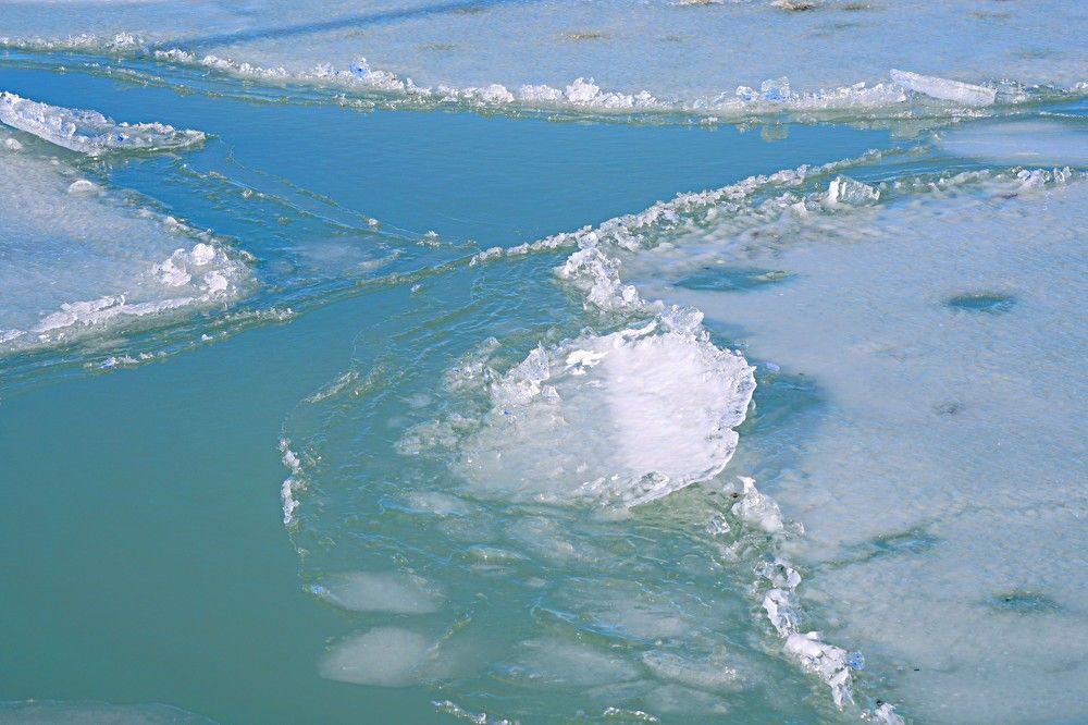 Photograph by Arkady Sandler