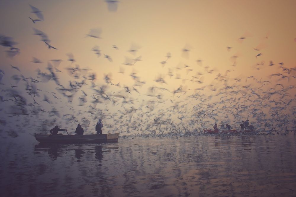 Photograph by Ankit Shrivastava