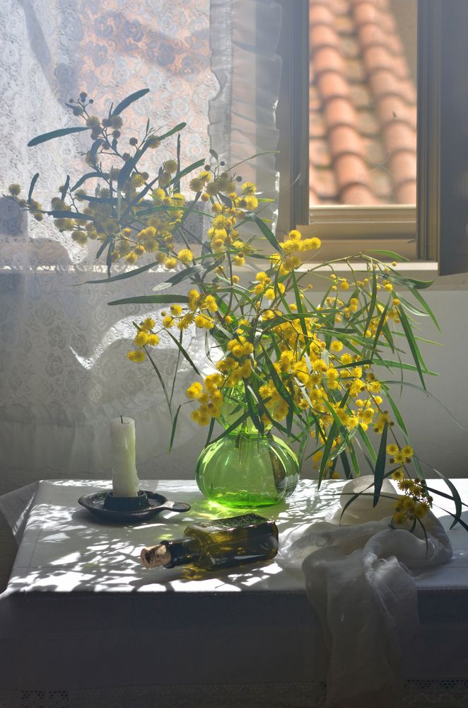 Фотография автора Наталья Елисеева