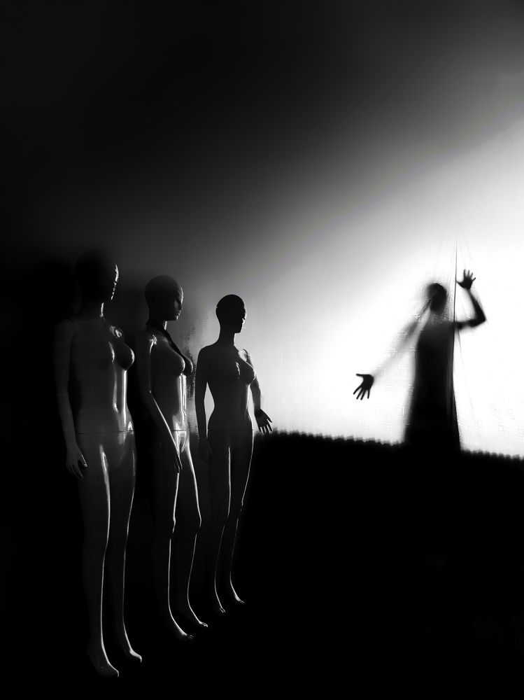 Photograph by mohammad fotouhi