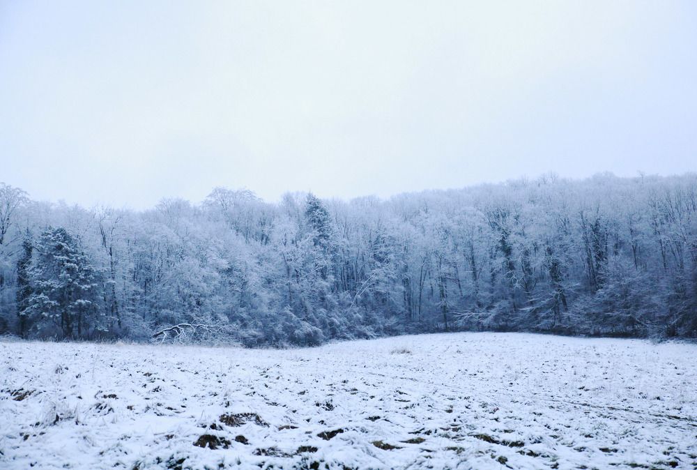 Photograph by stephane laurencin