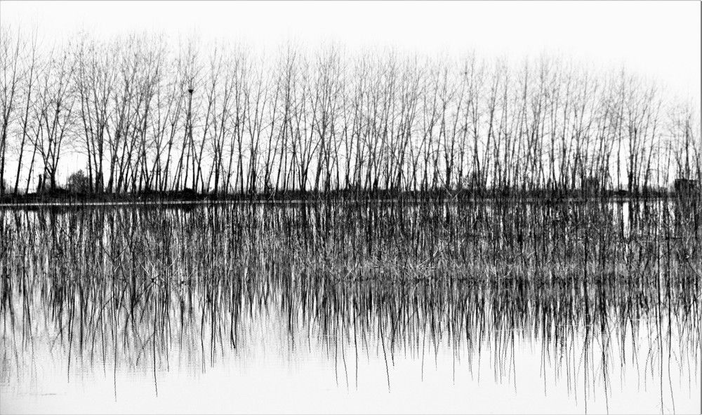 Photograph by Esmaeil Razaghi