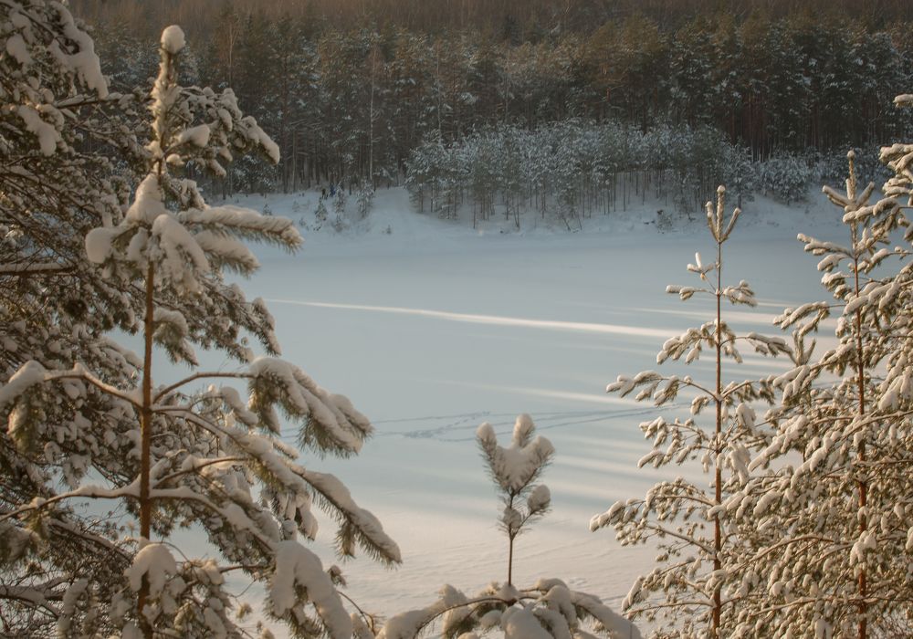 On the hill / на горке