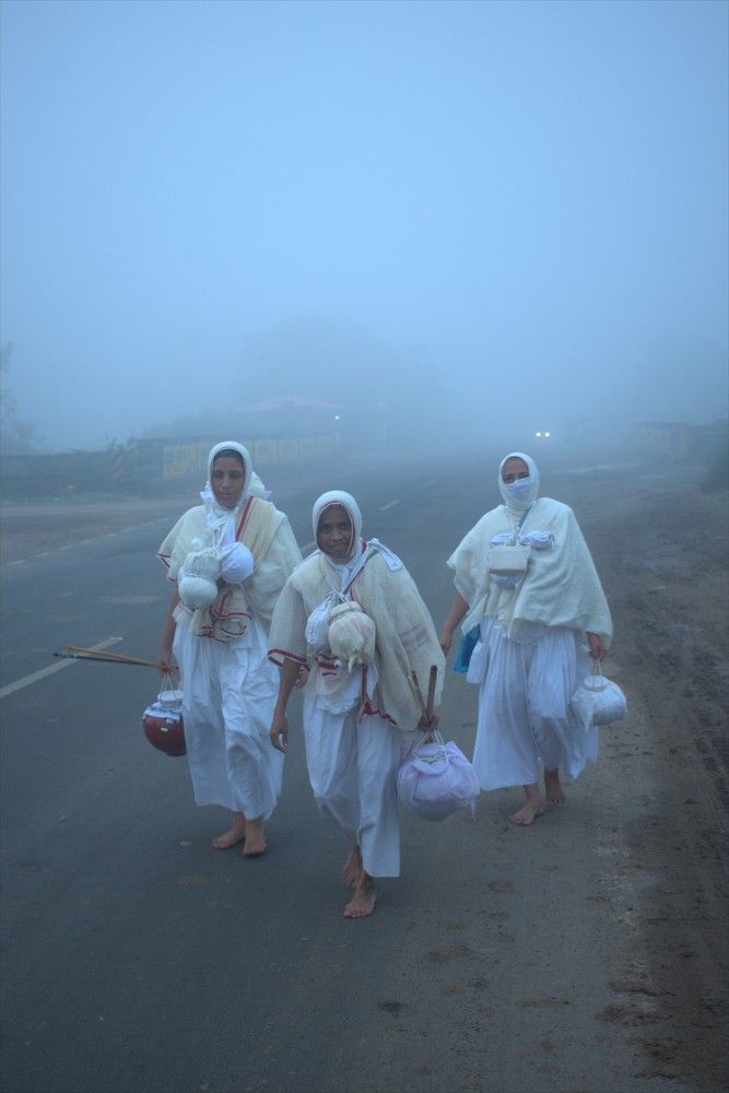 Winter-Foggy Weather- Saints Portrait