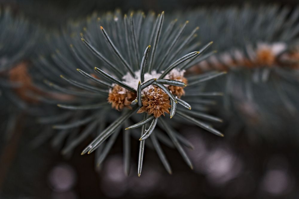 Photograph by Евгений Козлов