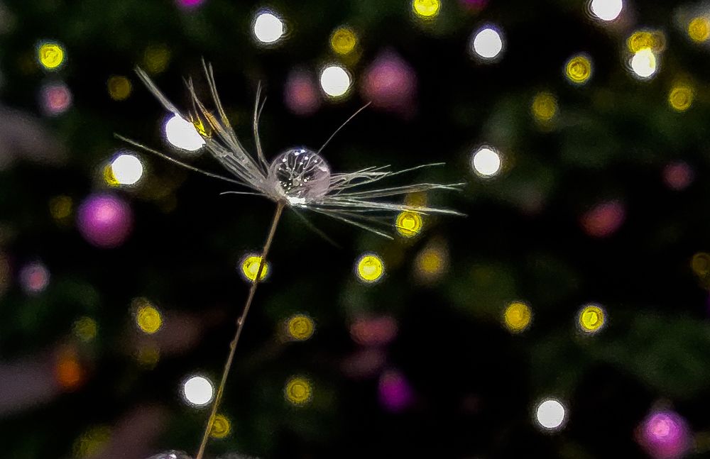 Photograph by Мария Прокопенко