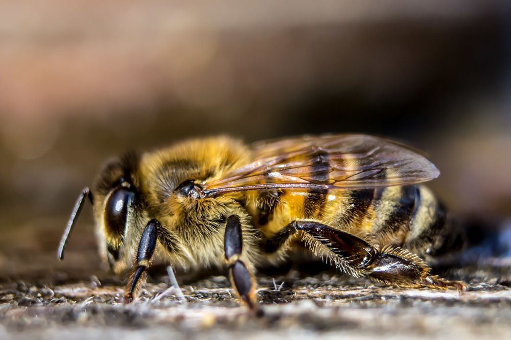 Photograph by Юрий Поповчак