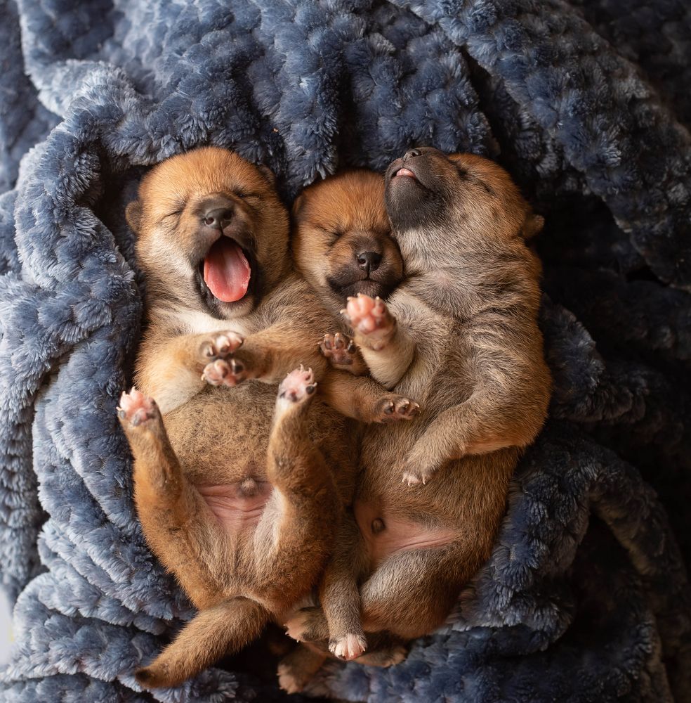 Photograph by Svetlana