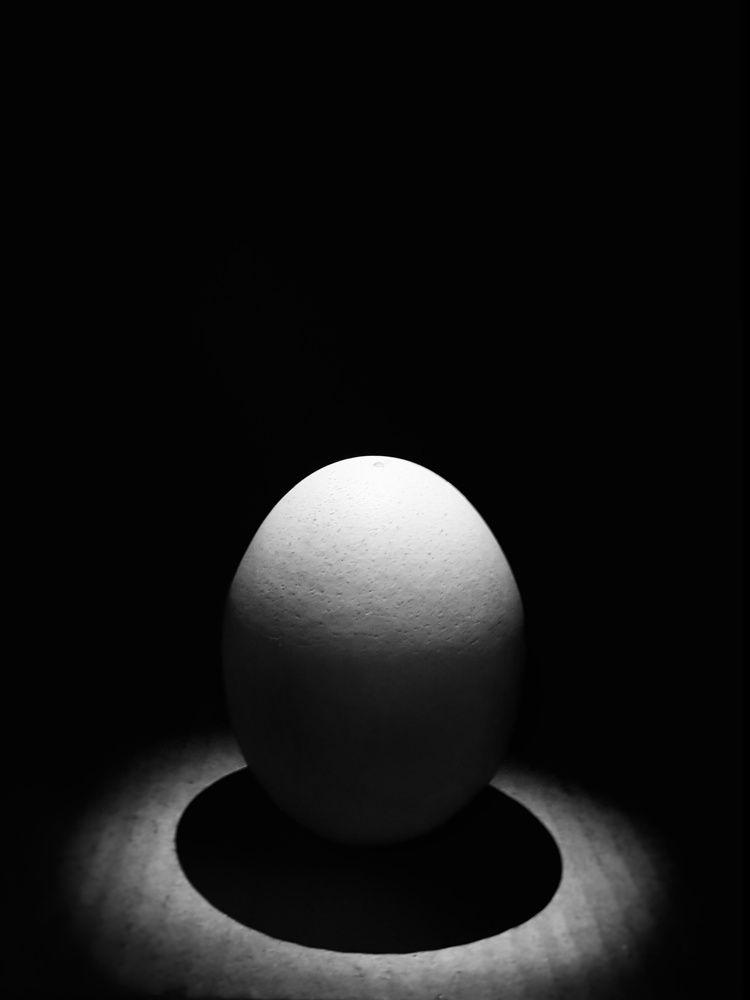 Photograph by Navami Sunil