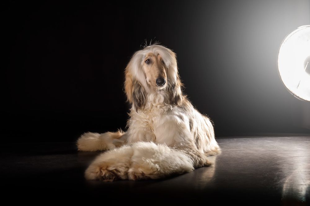 Photograph by Svetlana