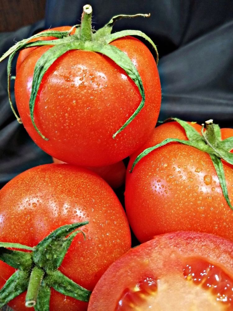 Photograph by Наталья Север