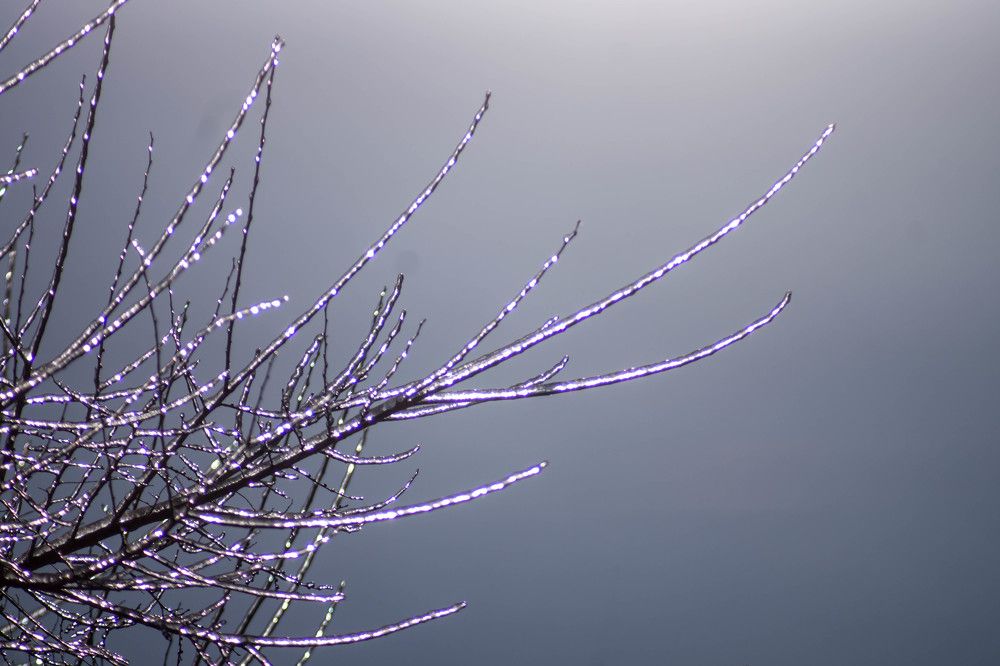 Photograph by Наталья Север