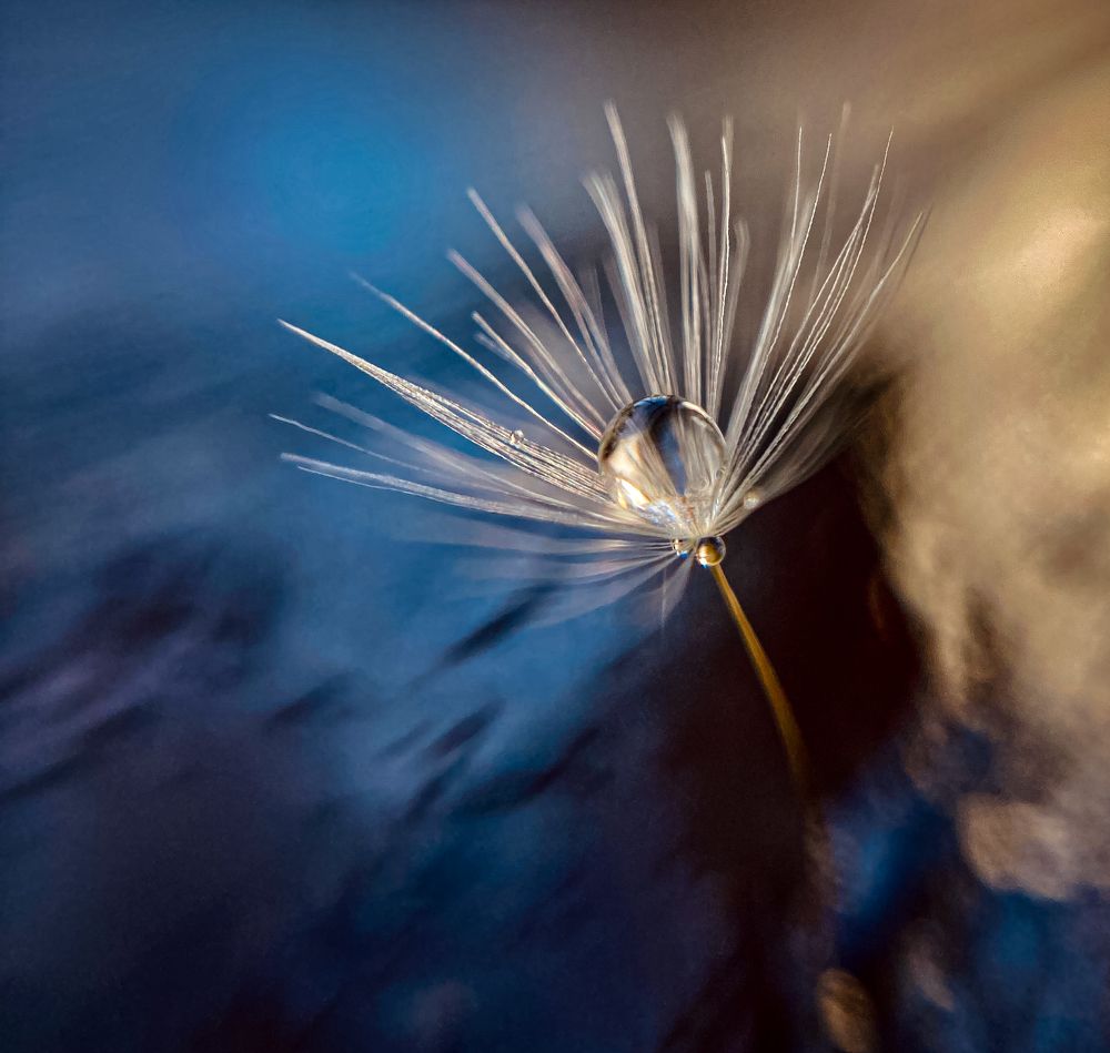 Photograph by Андрей Косяк