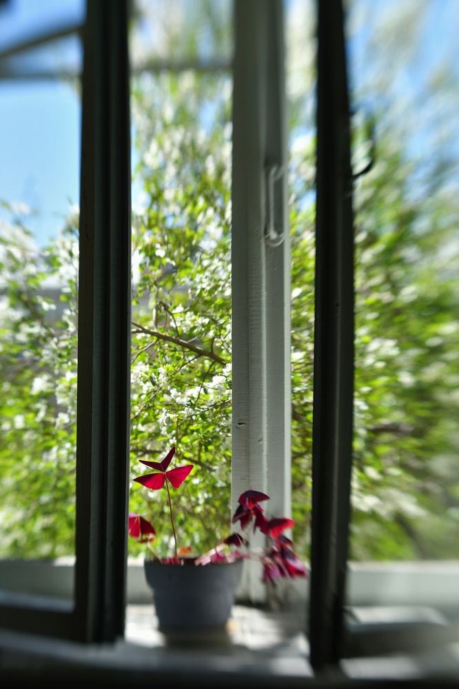 Photograph by Tatyana