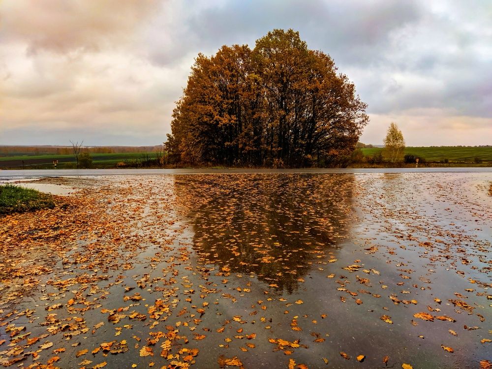 Photograph by Светлана Кондрашова