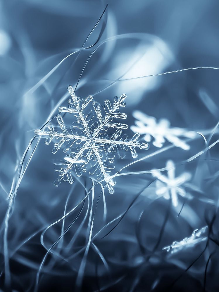 Photograph by Юрий Поповчак