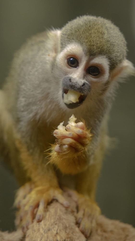 Photograph by Екатерина Кицмен