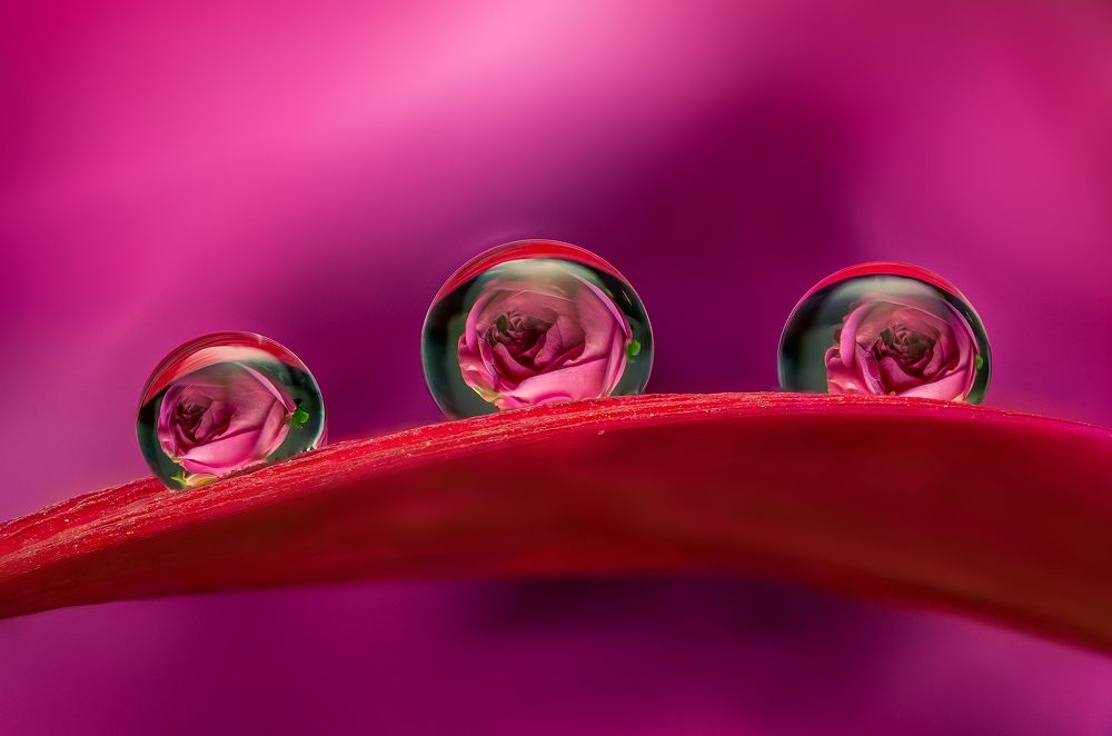 Photograph by Иван Радьков