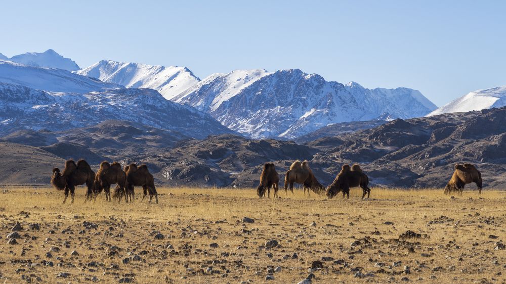 Фотография автора Олег Матроницкий