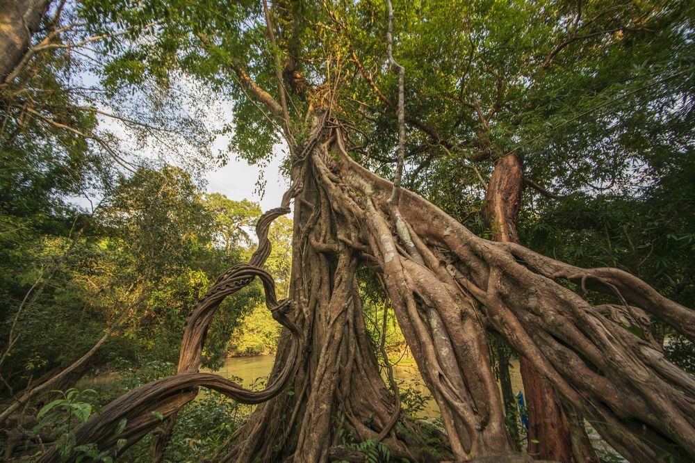 Photograph by Hoai Anh Dang