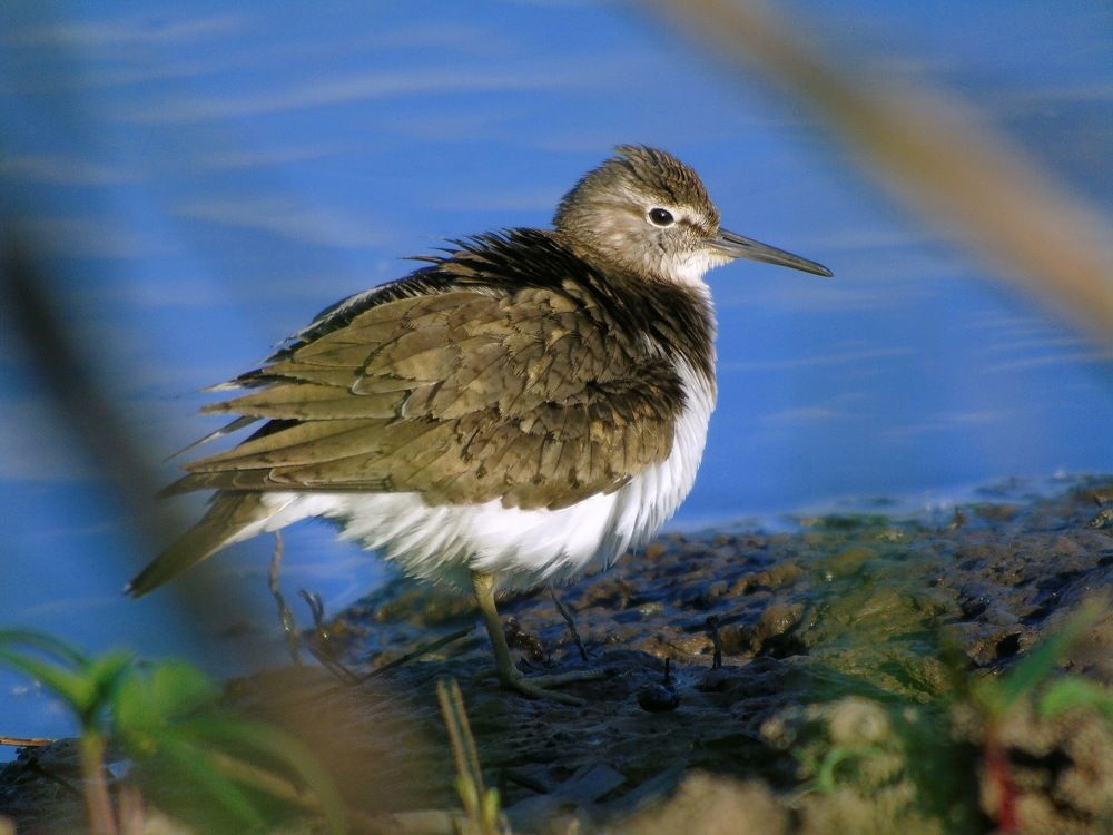 Photograph by Надежда Батракова