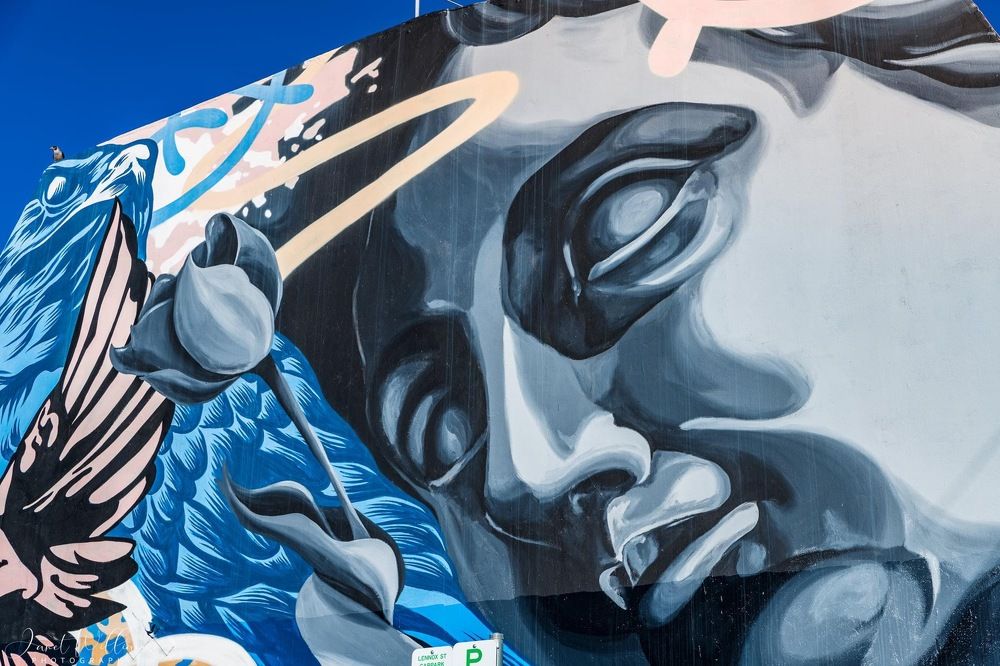 Photograph by Janet Williams