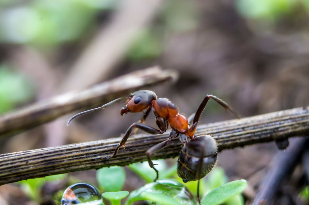 Photograph by Юрий Поповчак
