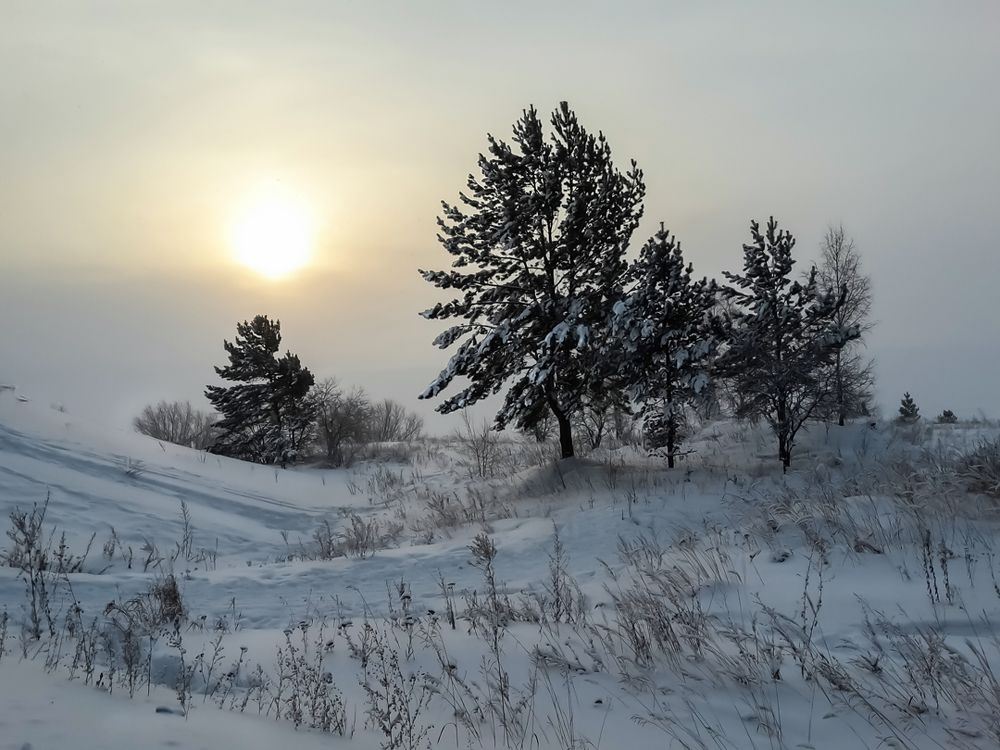 Зимний пейзаж в январе 2021.