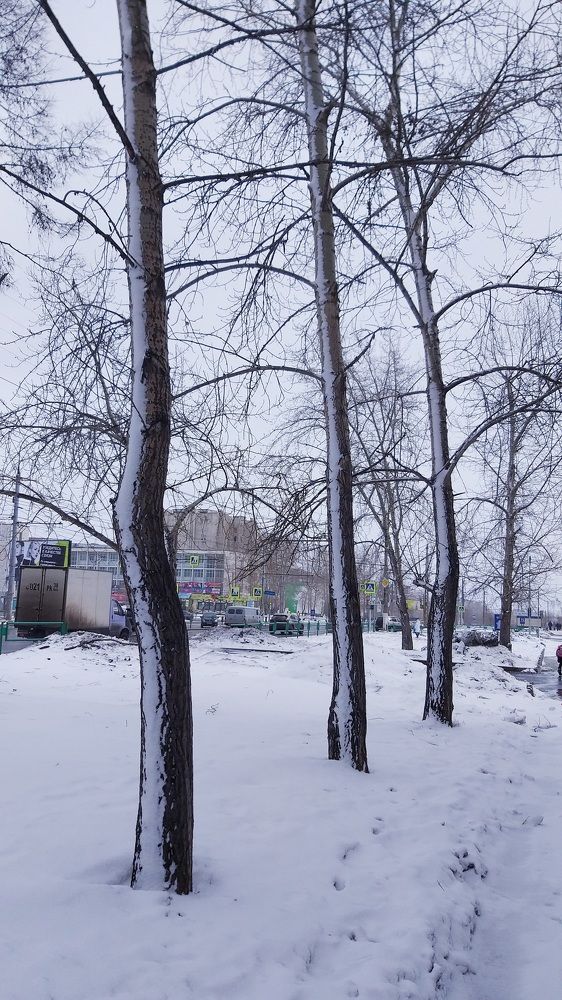 Photograph by Светлана Середина