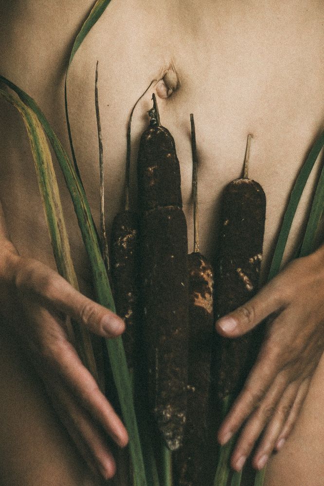 Photograph by Елена Мазурик