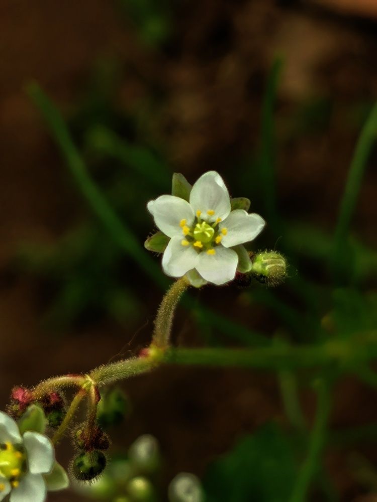 Photograph by Евгения Лушенкова