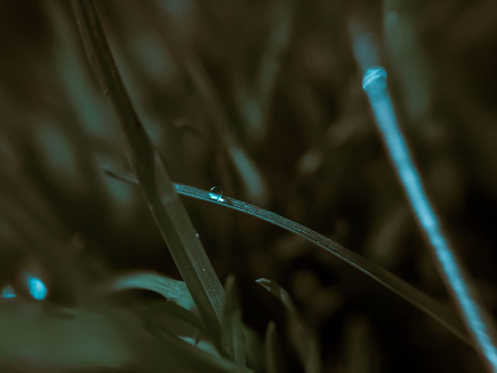 Photograph by Anuradha