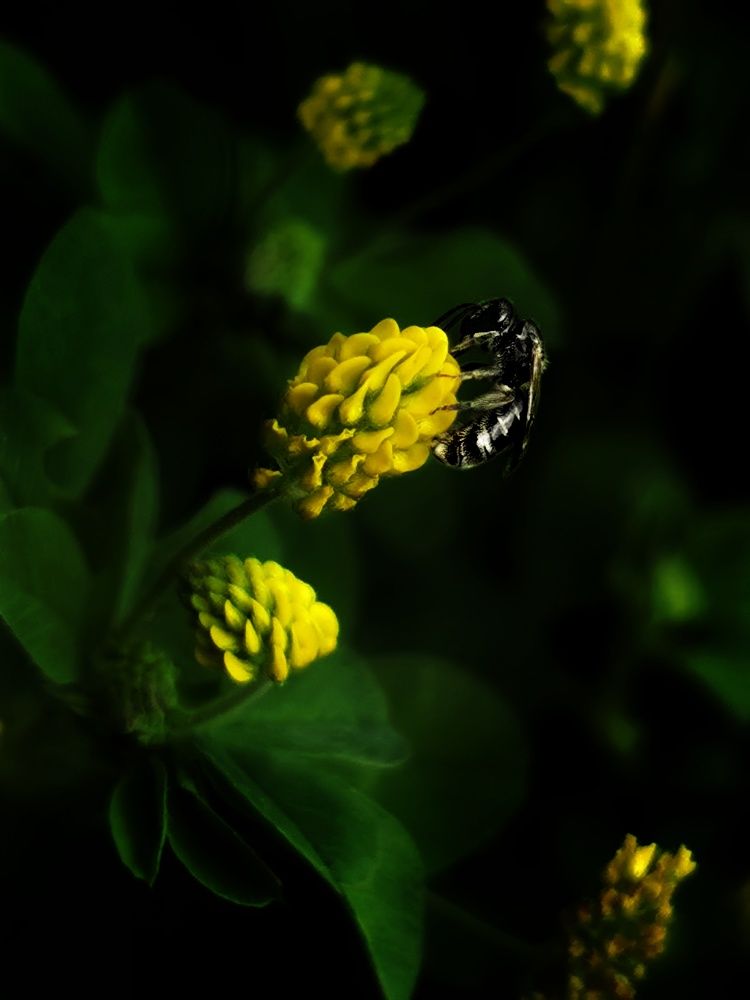 Photograph by Евгения Лушенкова