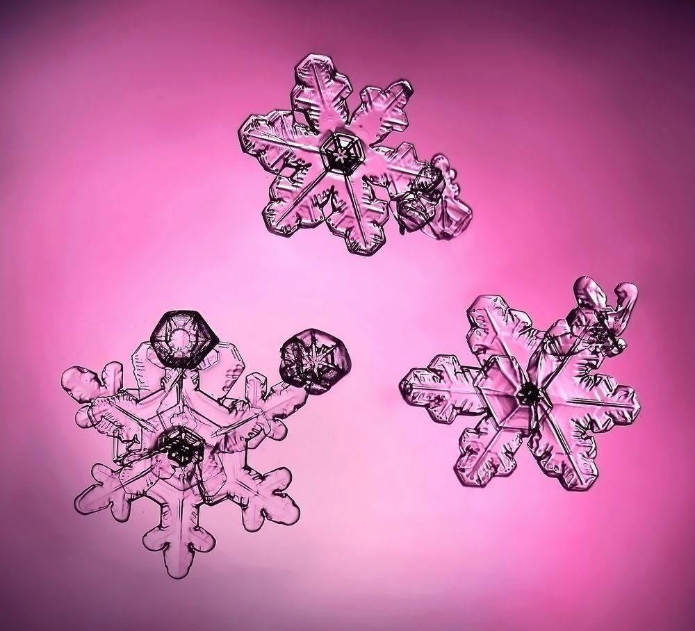 Photograph by Эля Draw