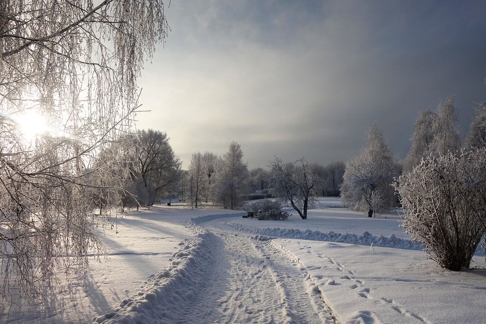 Photograph by Жучков Никита