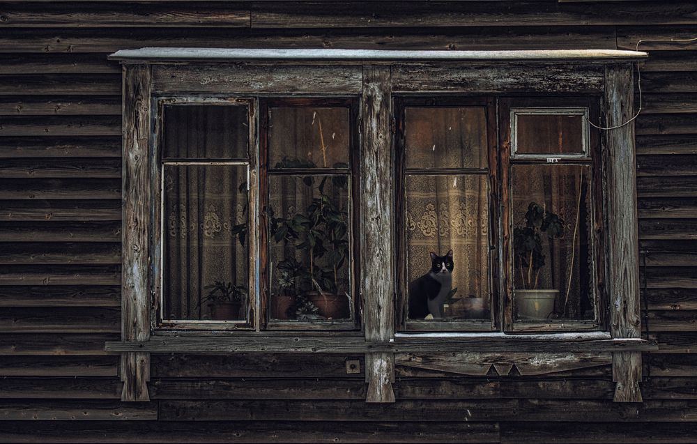 Photograph by Yaroslav Sibilenko