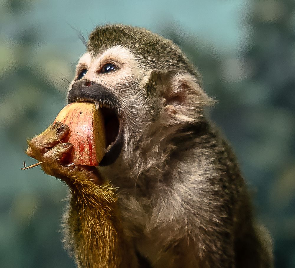 Photograph by Екатерина Кицмен