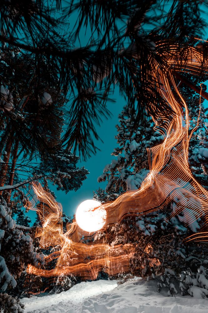 Фотография автора Nikita Dukhnik