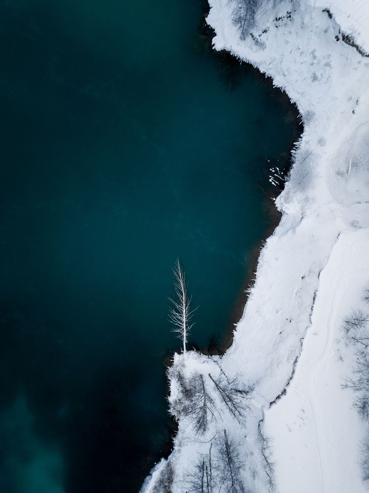 Фотография автора Nikita Dukhnik