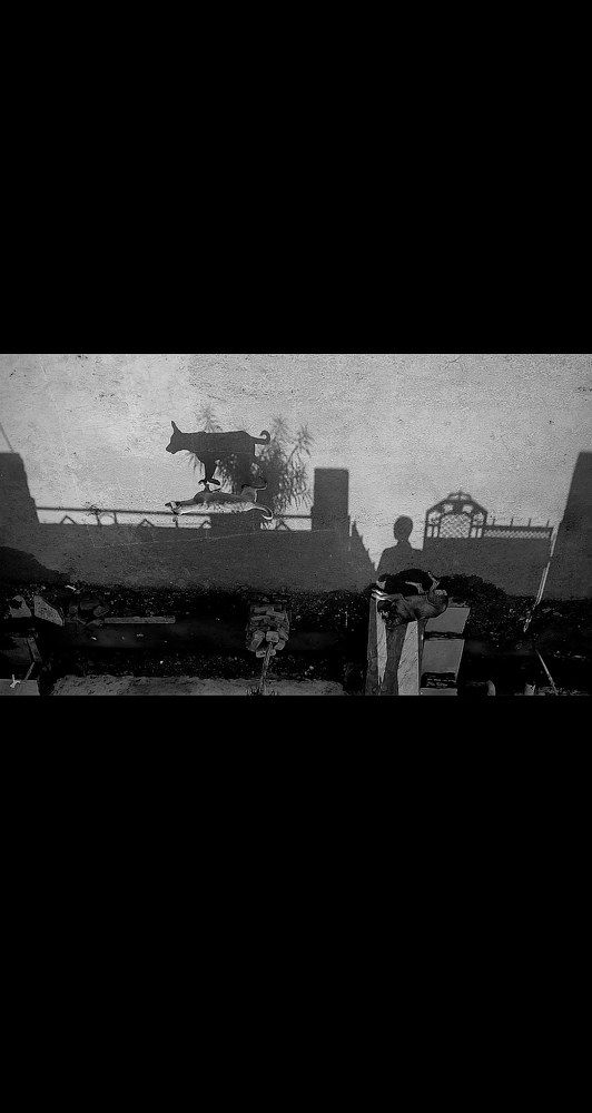 Photograph by Rahul saini