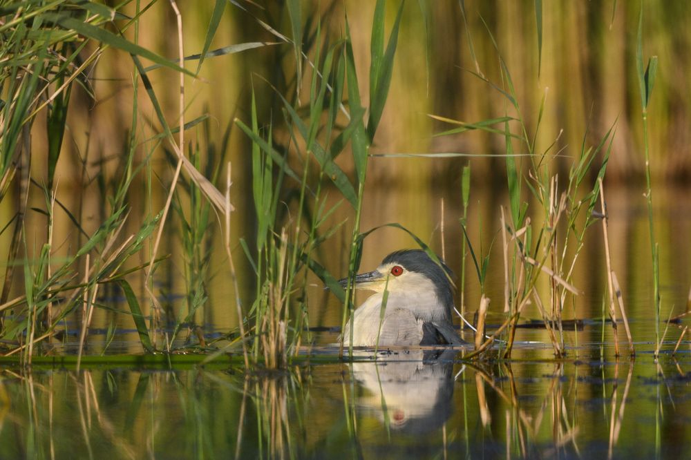 Photograph by Антон Мостовенко