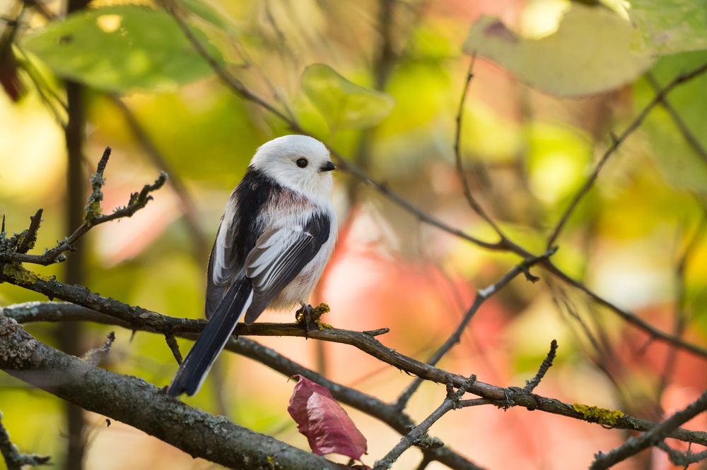 Photograph by Антон Мостовенко