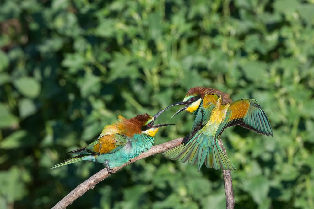 Photograph by Антон Мостовенко