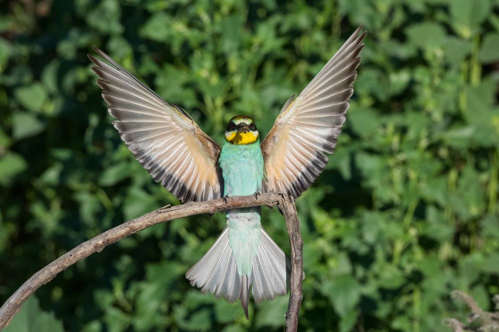 Photograph by Антон Мостовенко