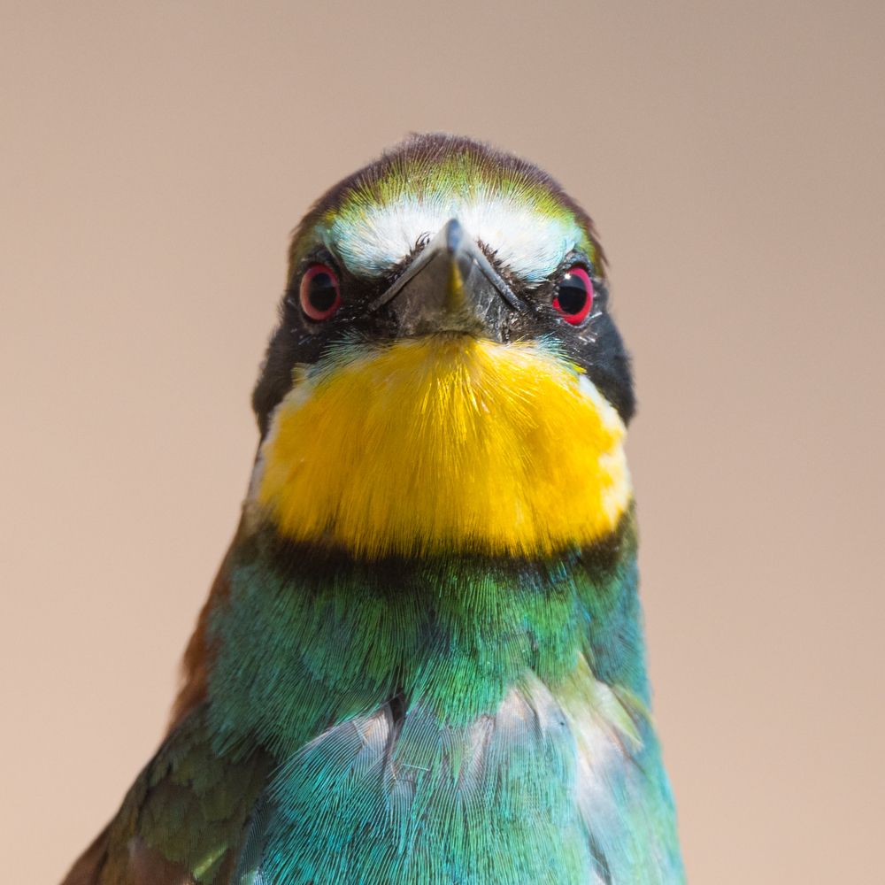 Photograph by Антон Мостовенко