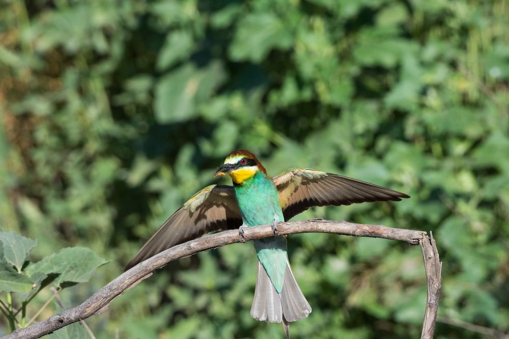 Photograph by Антон Мостовенко